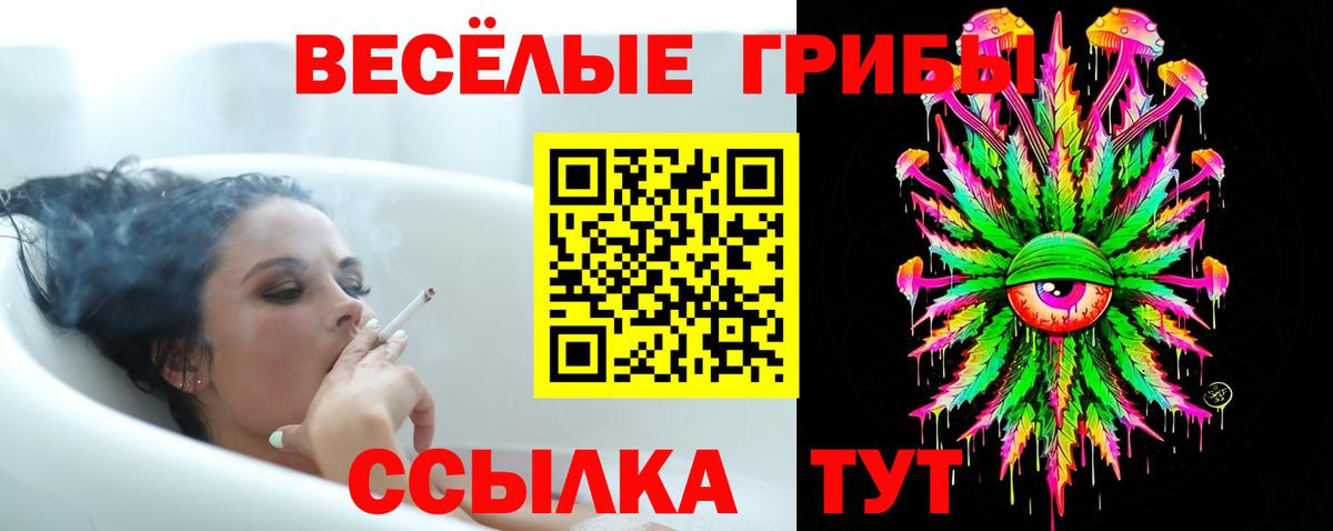 Бугуруслан  Галлюциногенные грибы GOLDEN TEACHER  Вход с VPN 
