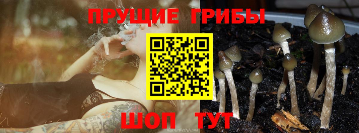 Псилоцибиновые грибы MAGIC MUSHROOMS Бугуруслан